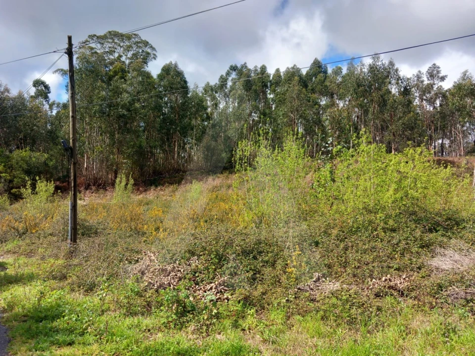 Terreno para Venda em Cesar Foto 9