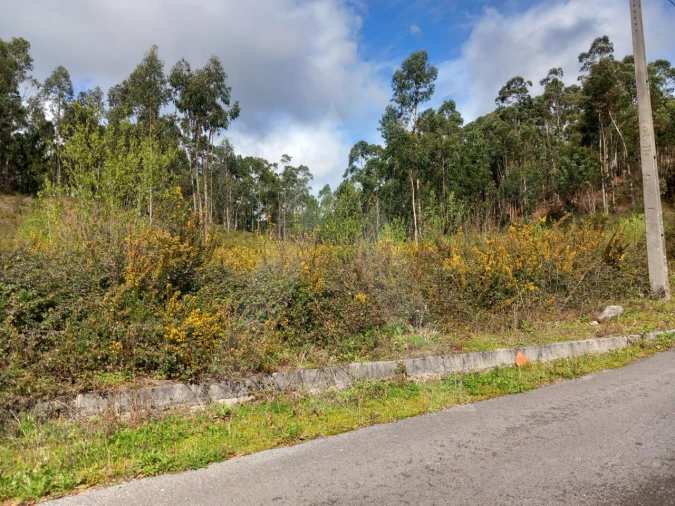 Terreno para Venda em Cesar Foto 13