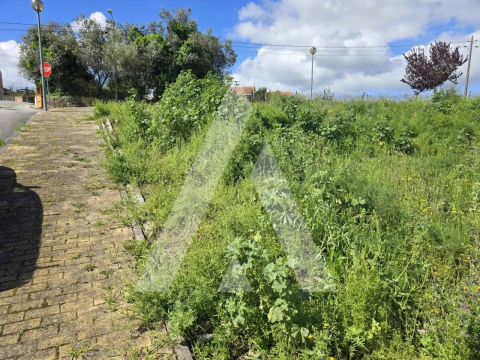 Terreno para Venda em Vila de Punhe Foto 5