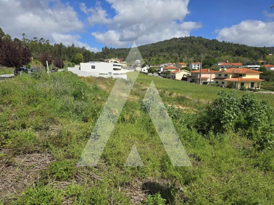 Terreno para Venda em Vila de Punhe Foto 3