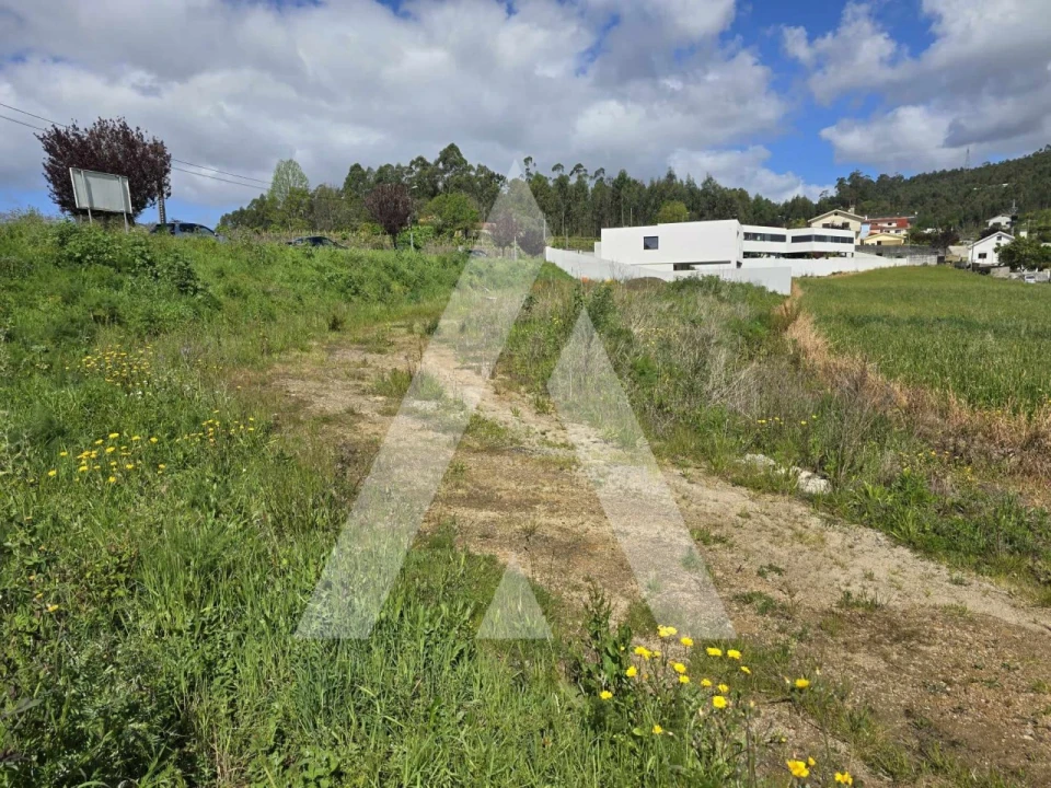 Terreno para Venda em Vila de Punhe Foto 6