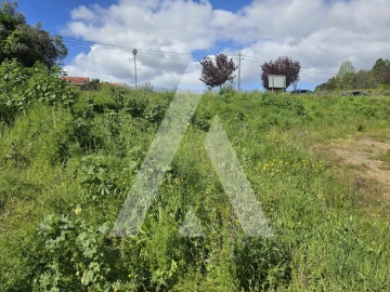 Terreno para Venda em Vila de Punhe
