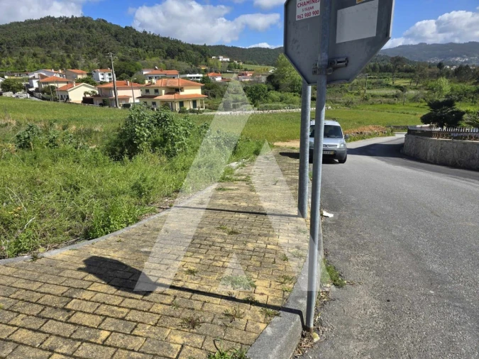 Terreno para Venda em Vila de Punhe Foto 8