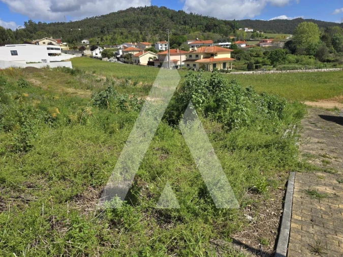 Terreno para Venda em Vila de Punhe Foto 2