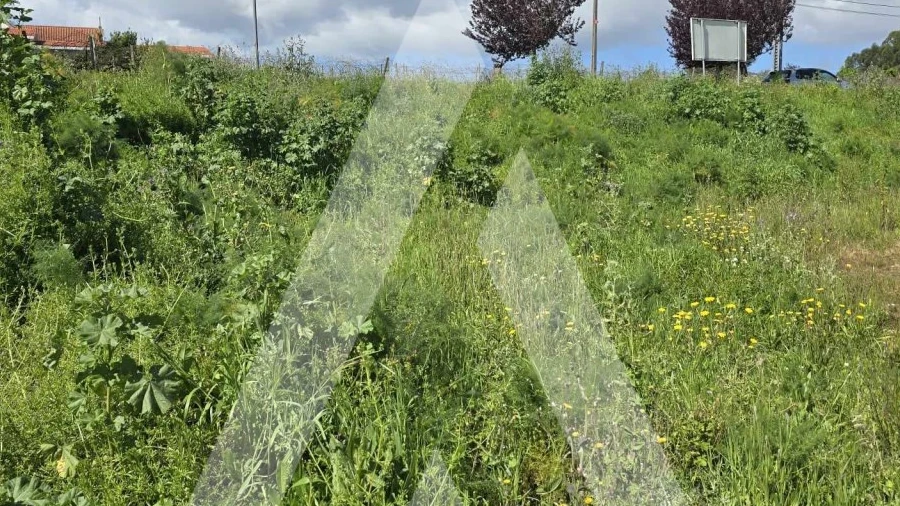 Terreno para Venda em Vila de Punhe