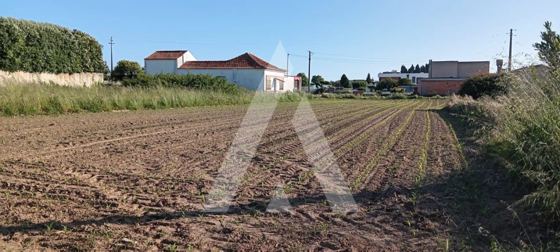 Terreno para Venda em Aradas Foto 4