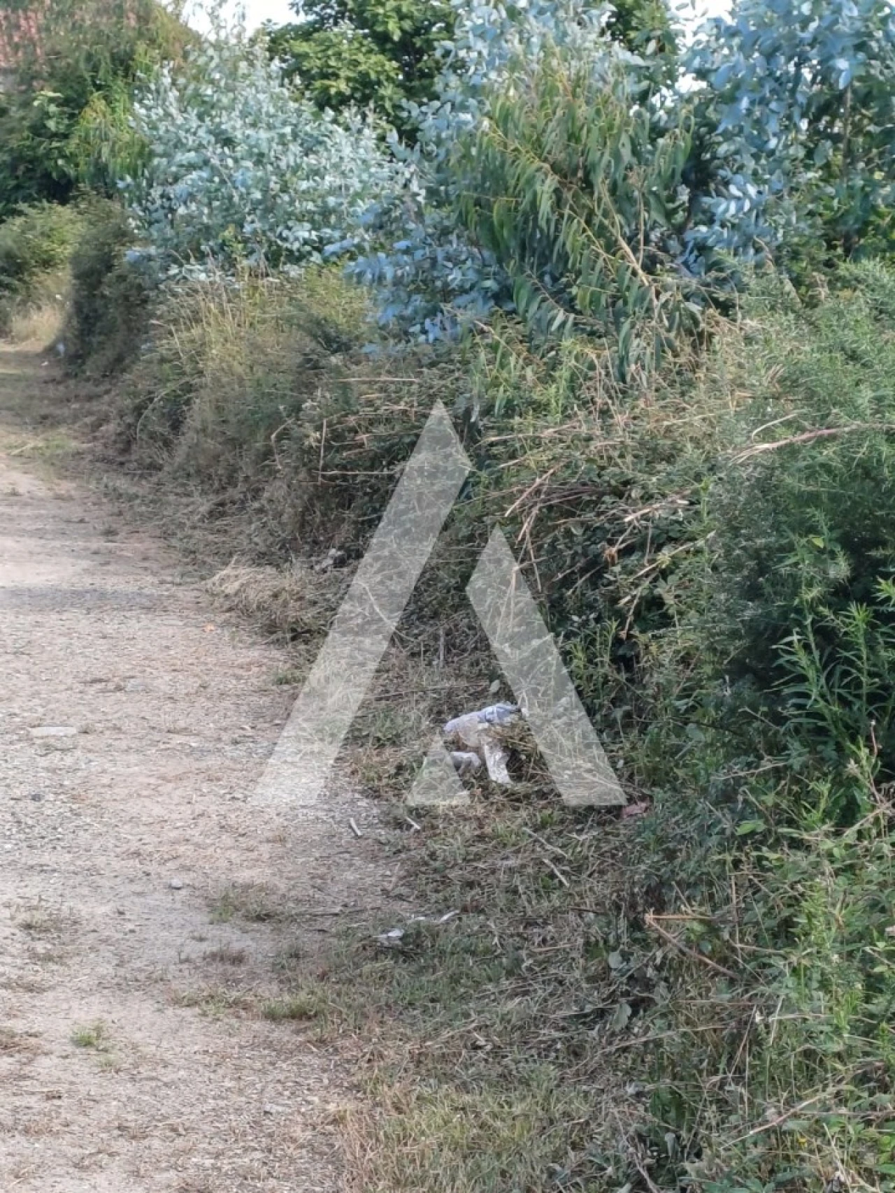 Terreno para Venda em Oleiros Foto 6