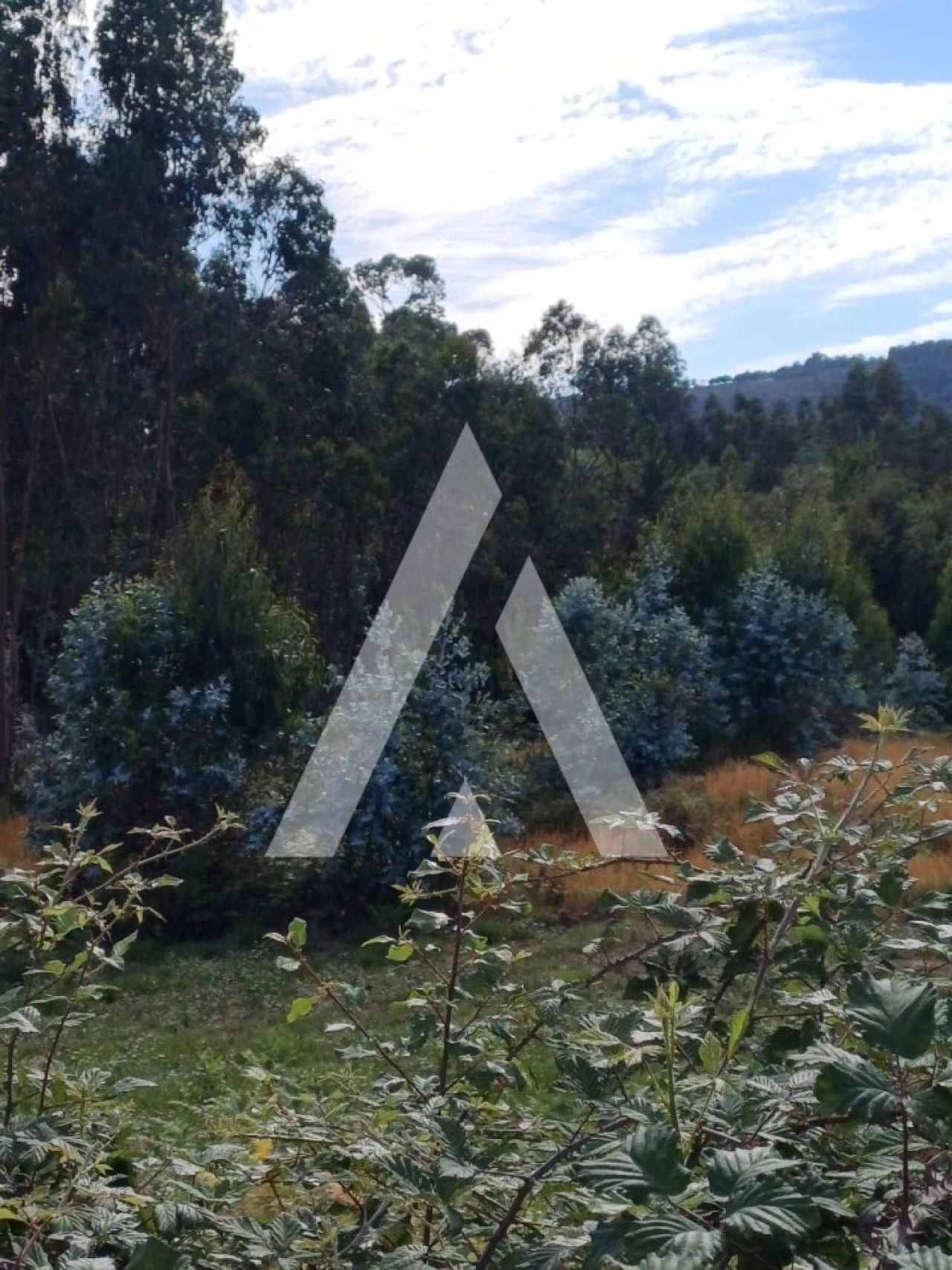 Terreno para Venda em Oleiros Foto 8