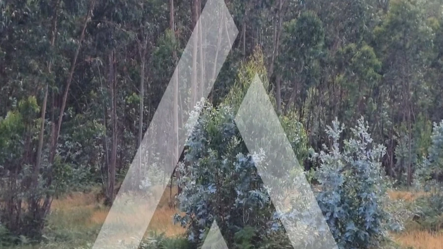 Terreno para Venda em Oleiros