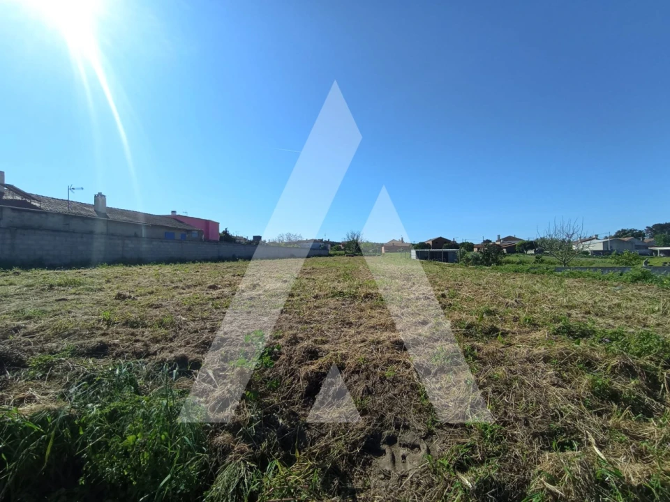 Terreno para Venda em Marrazes e Barosa Foto 3