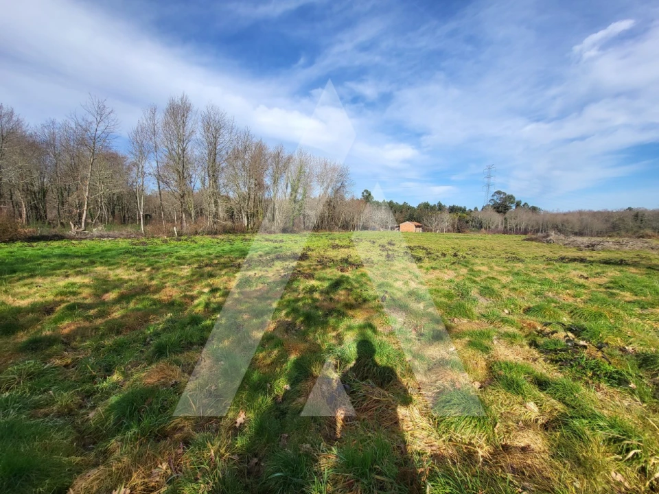 Terreno para Venda em Boa Aldeia, Farminhão e Torredeita Foto 1