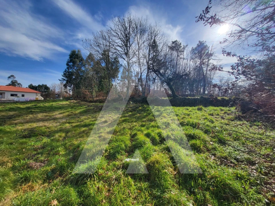 Terreno para Venda em Boa Aldeia, Farminhão e Torredeita Foto 6