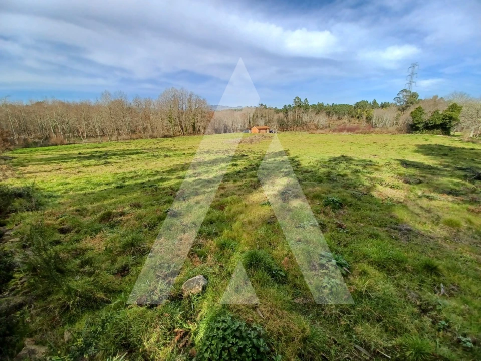 Terreno para Venda em Boa Aldeia, Farminhão e Torredeita Foto 8