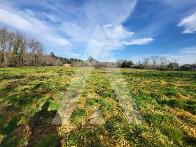Terreno para Venda em Boa Aldeia, Farminhão e Torredeita Foto 2