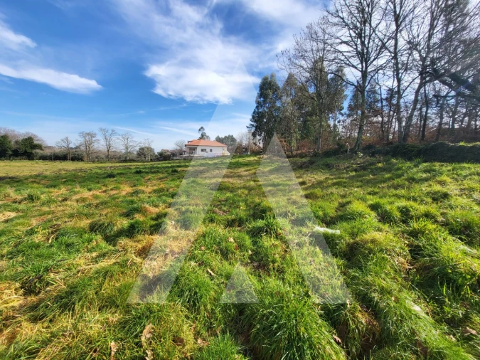 Terreno para Venda em Boa Aldeia, Farminhão e Torredeita Foto 3