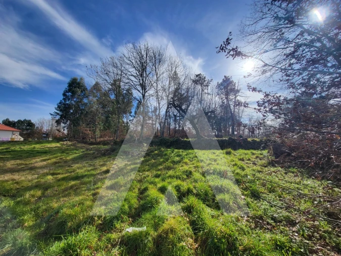 Terreno para Venda em Boa Aldeia, Farminhão e Torredeita Foto 5