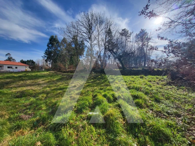 Terreno para Venda em Boa Aldeia, Farminhão e Torredeita Foto 6