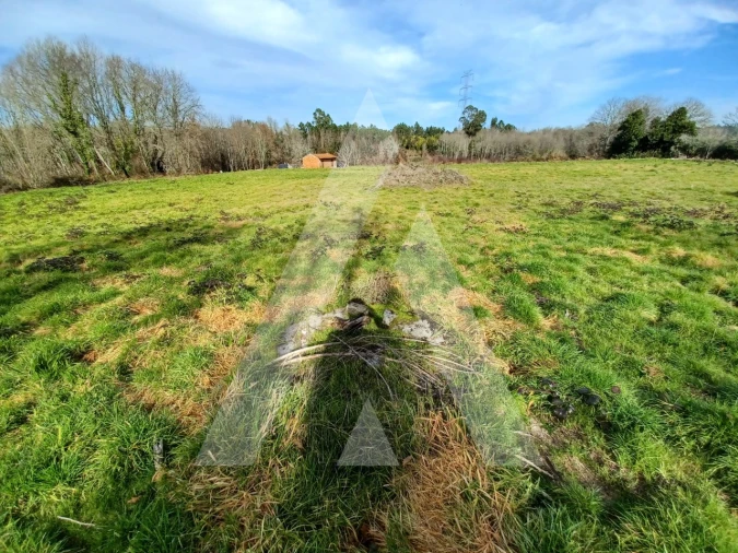 Terreno para Venda em Boa Aldeia, Farminhão e Torredeita Foto 7