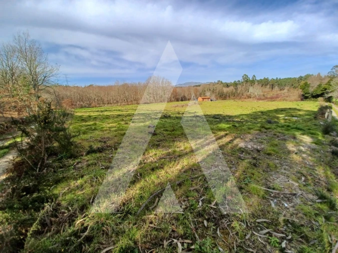 Terreno para Venda em Boa Aldeia, Farminhão e Torredeita Foto 9