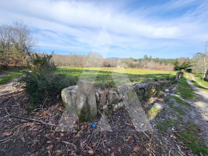 Terreno para Venda em Boa Aldeia, Farminhão e Torredeita Foto 11