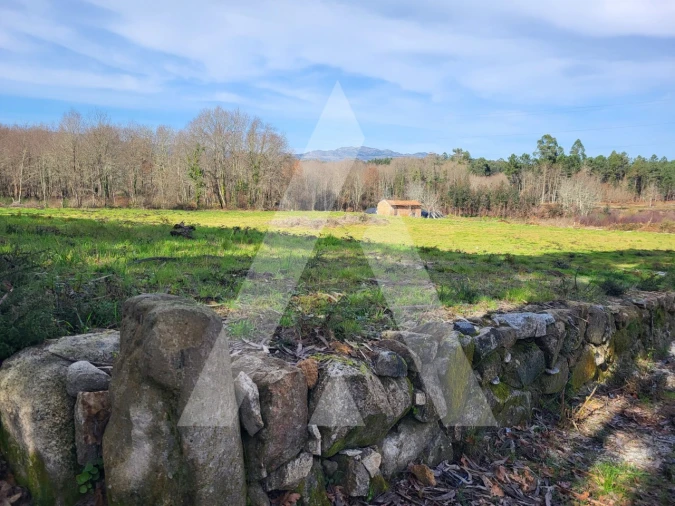 Terreno para Venda em Boa Aldeia, Farminhão e Torredeita Foto 12