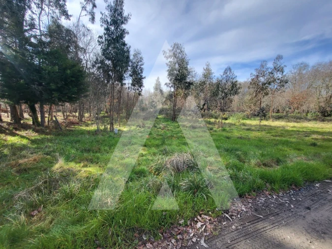 Terreno para Venda em Boa Aldeia, Farminhão e Torredeita Foto 13