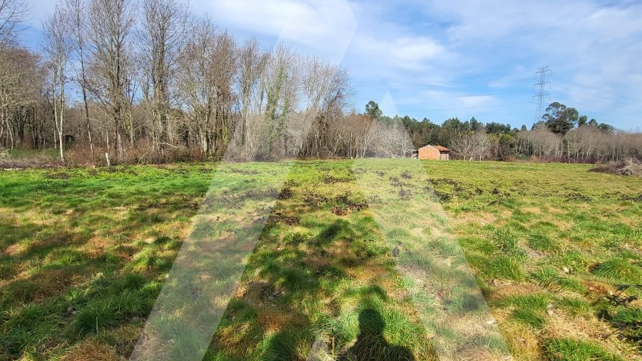 Terreno para Venda em Boa Aldeia, Farminhão e Torredeita