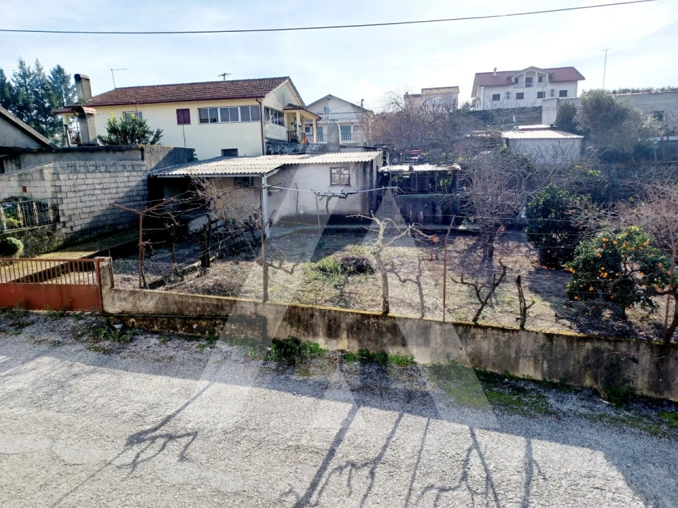 Terreno para Venda em Tavares (Chãs, Várzea e Travanca) Foto 2