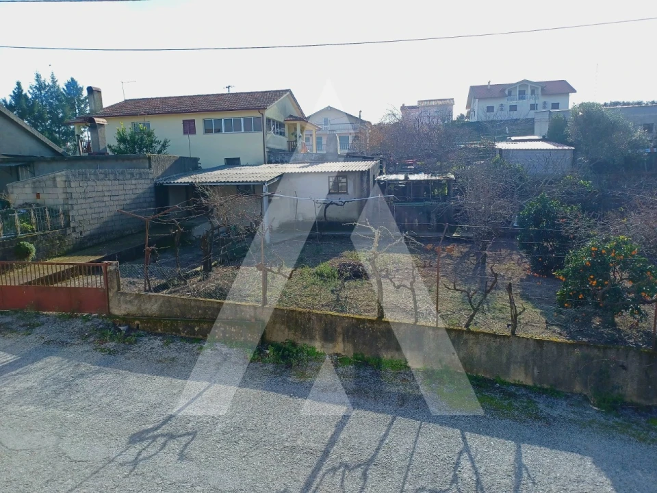 Terreno para Venda em Tavares (Chãs, Várzea e Travanca) Foto 4