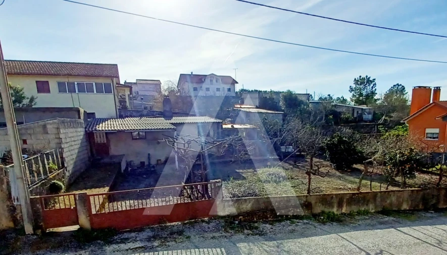Terreno para Venda em Tavares (Chãs, Várzea e Travanca) Foto 3