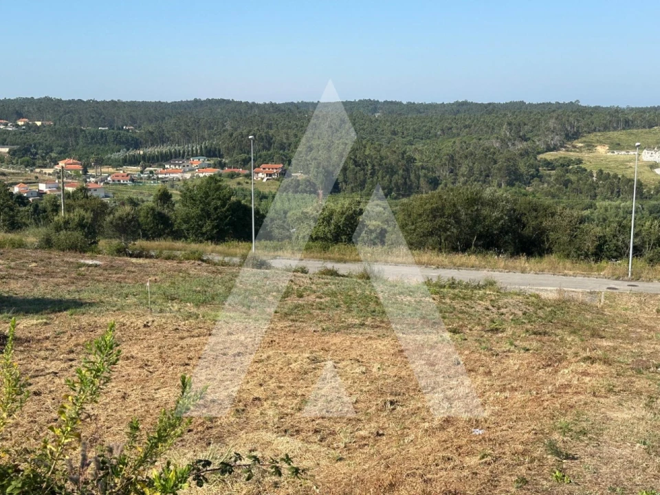 Terreno para Venda em Oliveira do Bairro Foto 4