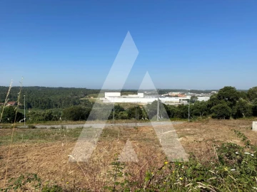 Terreno para Venda em Oliveira do Bairro