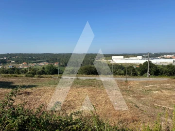 Terreno para Venda em Oliveira do Bairro