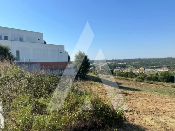 Terreno para Venda em Oliveira do Bairro