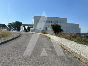 Terreno para Venda em Oliveira do Bairro