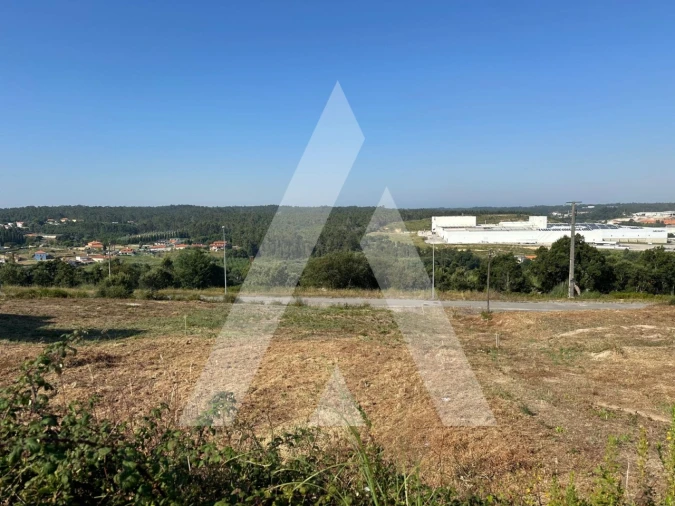 Terreno para Venda em Oliveira do Bairro Foto 3