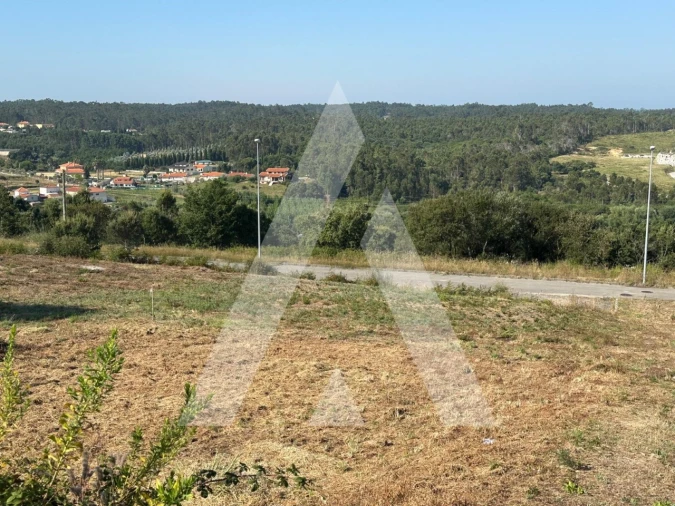 Terreno para Venda em Oliveira do Bairro Foto 4