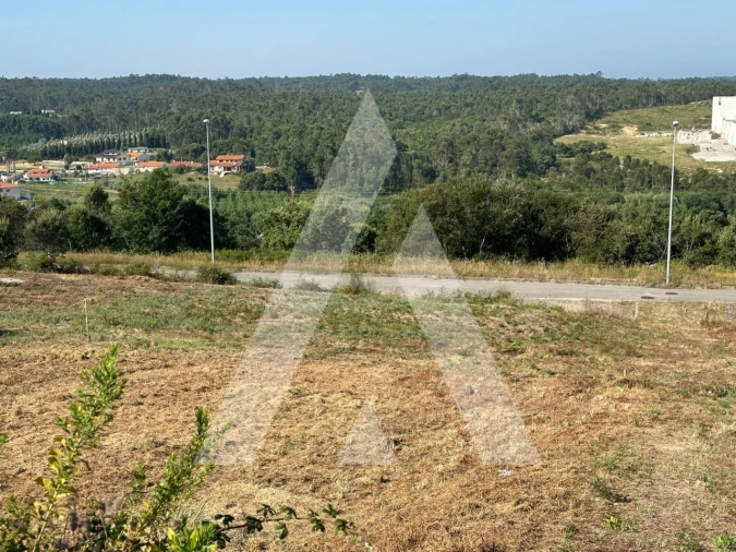 Terreno para Venda em Oliveira do Bairro Foto 5