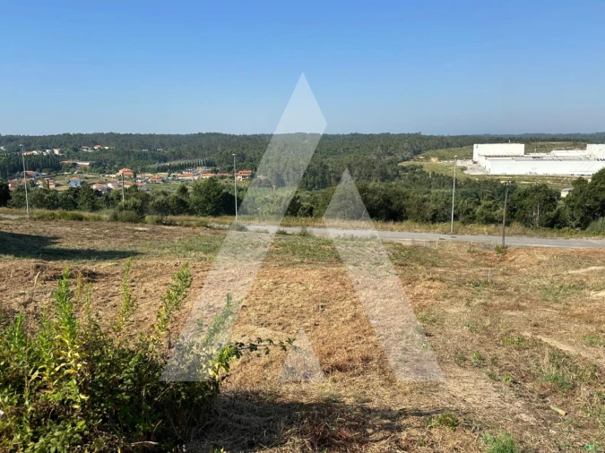 Terreno para Venda em Oliveira do Bairro Foto 6