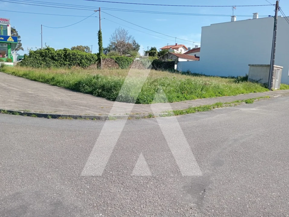 Terreno para Venda em Santa Marta de Portuzelo Foto 5