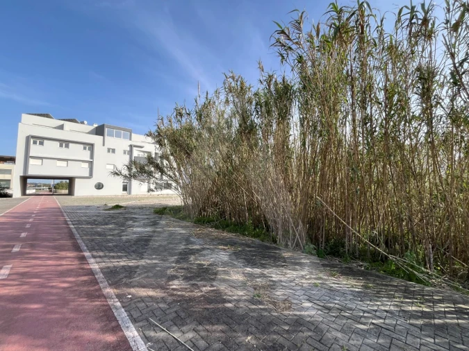 Terreno para Venda em Gafanha da Boa Hora Foto 9