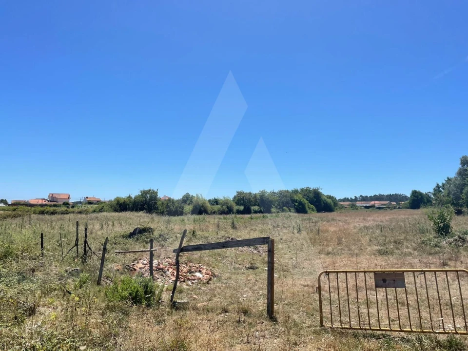 Terreno para Venda em Cacia Foto 4