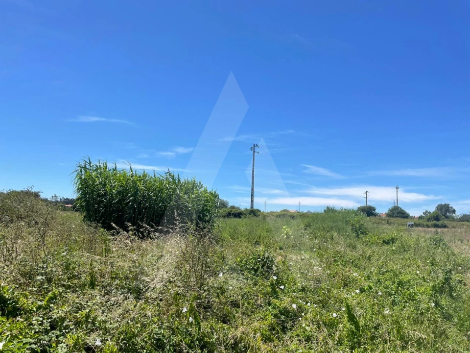 Terreno para Venda em Cacia Foto 7