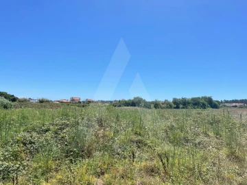 Terreno para Venda em Cacia