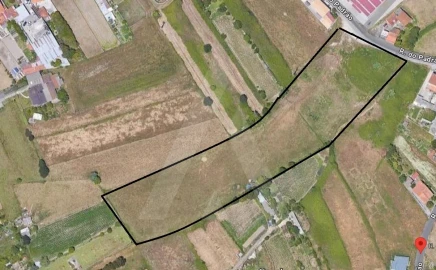Terreno para Venda em Cacia