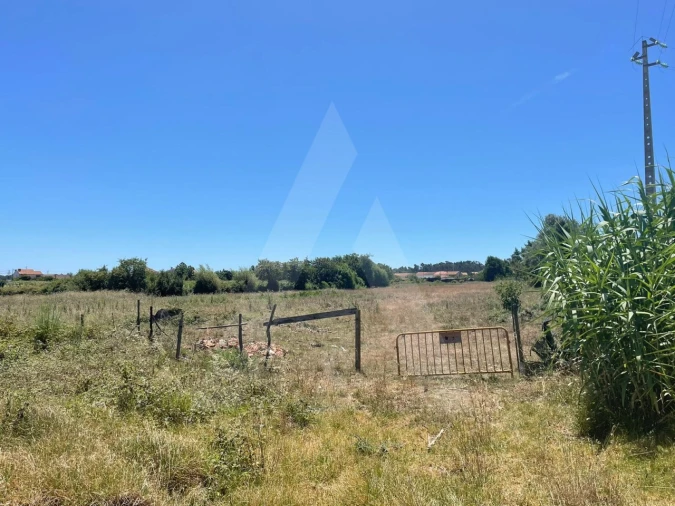Terreno para Venda em Cacia Foto 2
