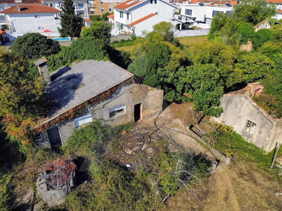 Terreno para Venda em Albergaria-A-Velha e Valmaior Foto 9
