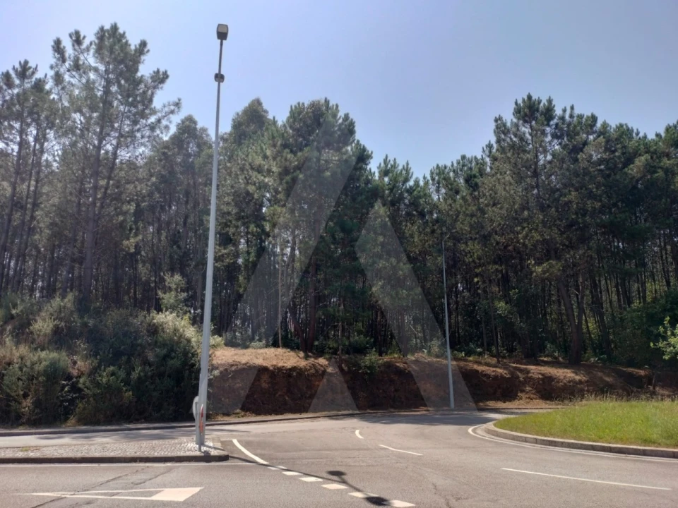 Terreno para Venda em São João da Madeira Foto 6