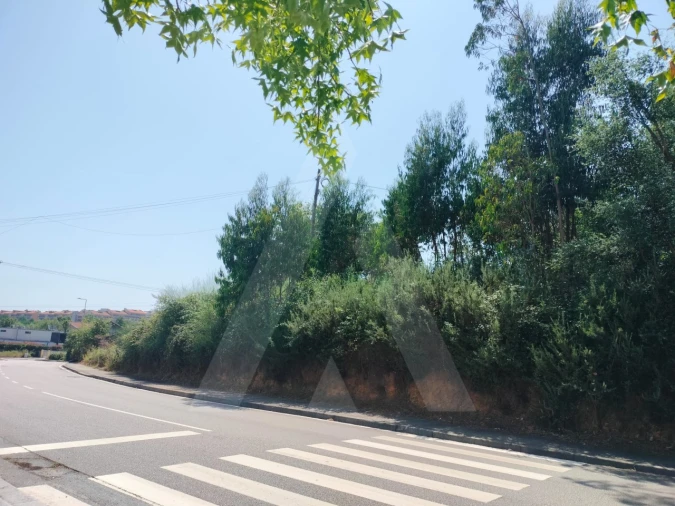 Terreno para Venda em São João da Madeira Foto 1