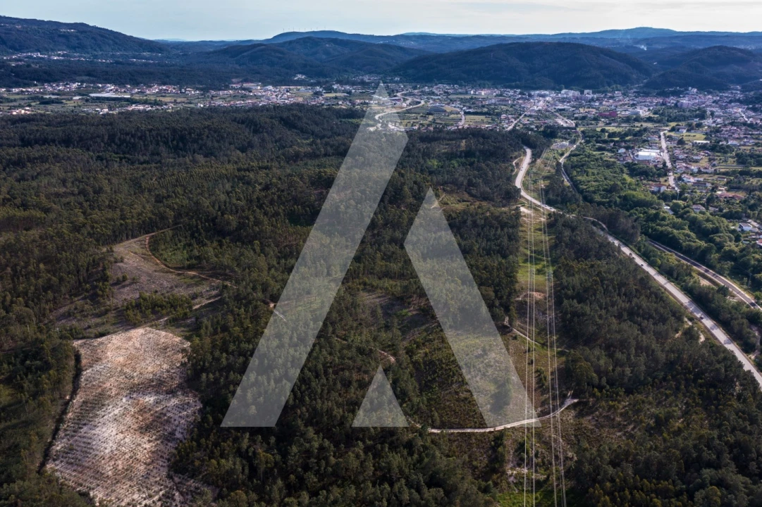 Terreno para Venda em Miranda do Corvo Foto 6